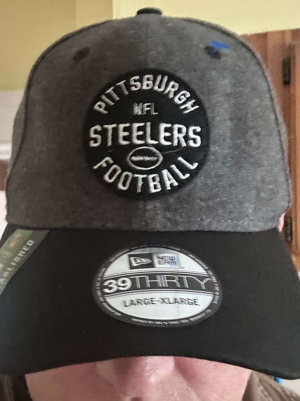 Pittsburgh Steelers NFL 39THIRTY Cap - Gray & Black NFL 100